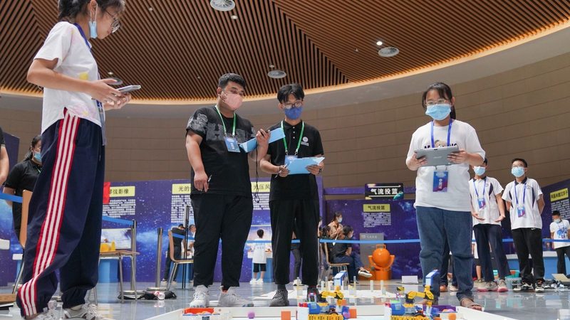 系统集成项目经理职业发展路径：从技术骨干到项目管理高手